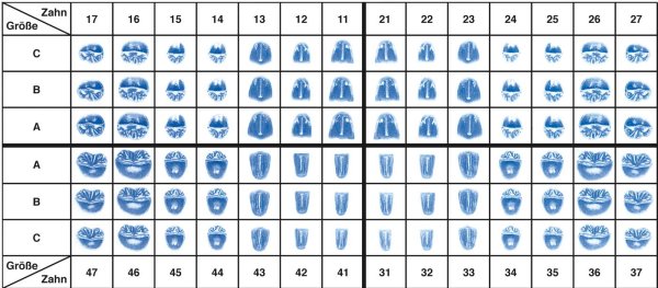 Glieder für vestibuläre Verblendungen GVV **Nachfüllpackung** 25 Stück 42 C