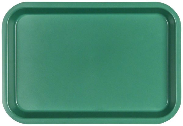 Mini Tray Mini-Tray grün, 23,8 x 16,2 x 2,2 cm