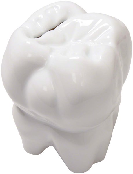 Zahnspardose weiß aus Porzellan