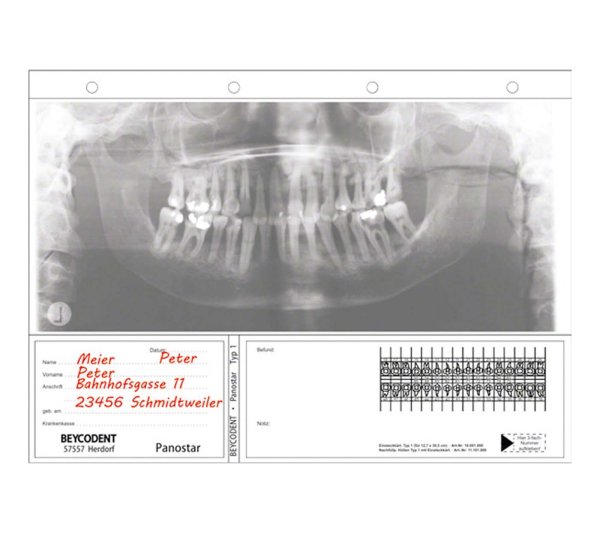 Panostar® Typ 1 100 Hüllen mit Einsteckkarten, 12,7 x 30,5 cm