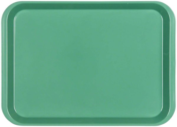 B-Lok Tray Tray 34 x 24,5 x 2,2 cm, ohne Einteilung grün