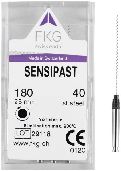 FKG Sensipast 4 Stück 25 mm ISO 040