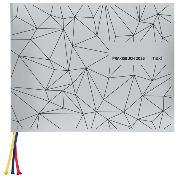 Praxisbuch Maxi 2025