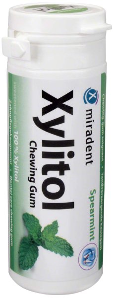 Xylitol Chewing Gum 30 Stück Minze