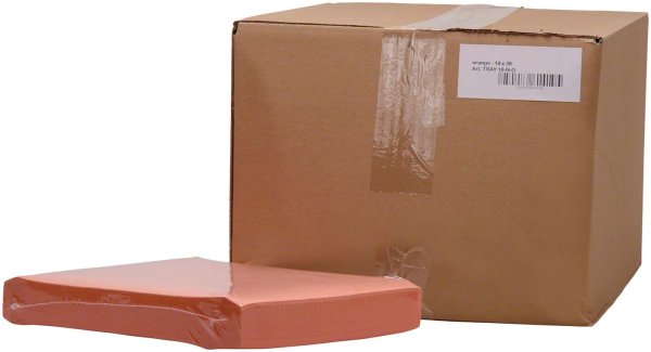 Dental Tray-Einlagen **Karton** 10 x 250 Stück 18 x 28 cm, orange
