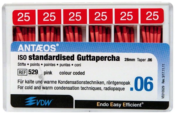 Guttaperchastifte 60 Stück rosa, Taper.06 ISO 025