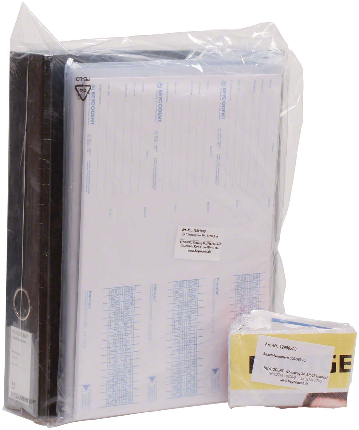 Panostar® Typ 1 100 Hüllen mit Einsteckkarten, 12,7 x 30,5 cm