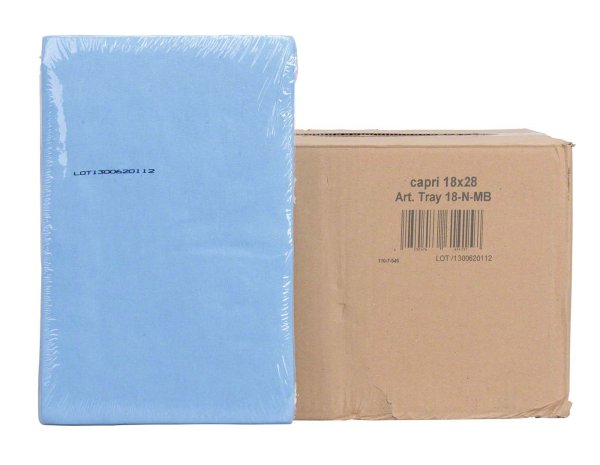Dental Tray-Einlagen **Karton** 10 x 250 Stück 18 x 28 cm, med blau
