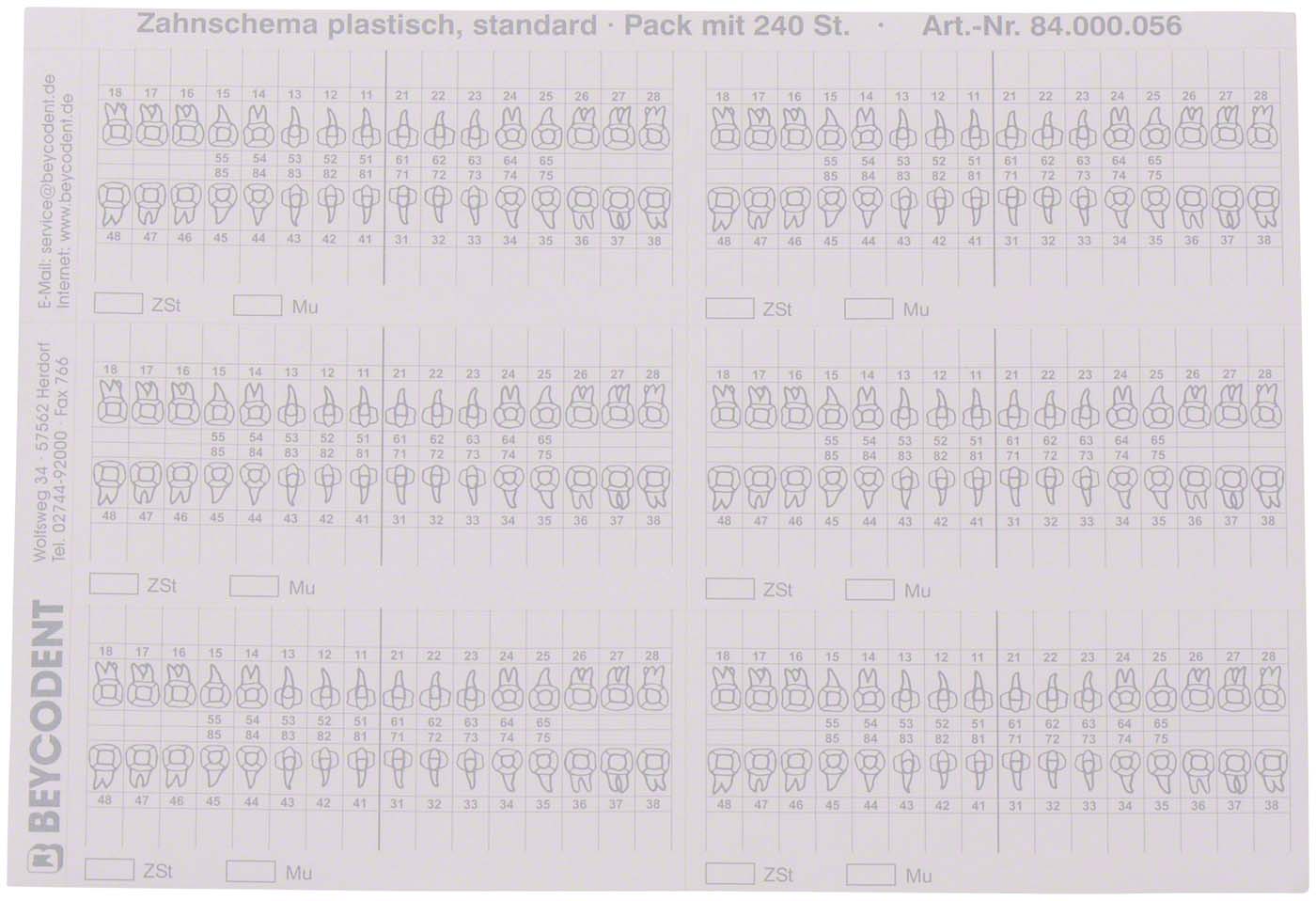 zahnschema-plastisch-240-st-ck-100-x-45-mm-organisationssysteme